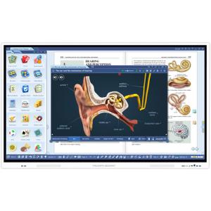 TRIUMPH BOARD Flat-Panel Interactive Display - 65" 4K (3840 x 2160) 400 nits @ 60Hz LCD, Infrared Multi-Touch