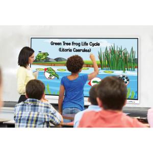 TRIUMPH BOARD Flat-Panel PRO Interactive Display - 75" 4K (3840 x 2160) 400 nits @ 60Hz LCD, Infrared Multi-Touch