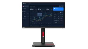 LENOVO THINKVISION P25i-30 Monitor - 24