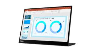 LENOVO THINKVISION M14D Monitor - 14