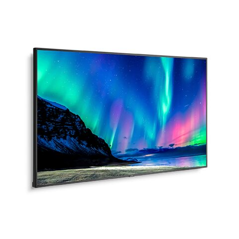 NEC MultiSync C751Q Monitor - 75